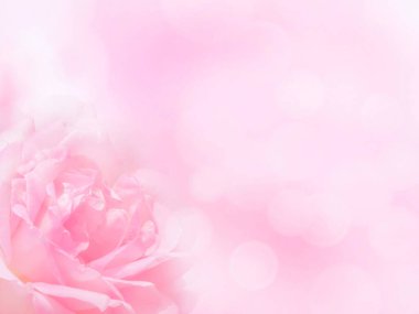 Bulanık bokeh arka planının köşesinde soluk pembe bir antika gül