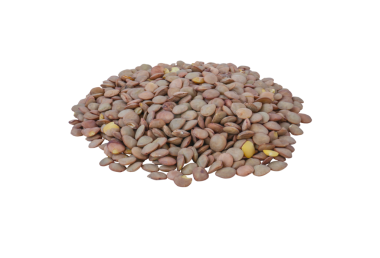 Bir yığın çiğ kahverengi mercimek izole edilmiş saydam png. Sağlıklı organik baklagil, yemek, diyet ve vejetaryen yemekler için doğal protein kaynağı.