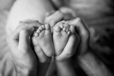 Beyaz ve siyah aile yeni doğmuş, anne ve babanın ellerinde bebek ayakları