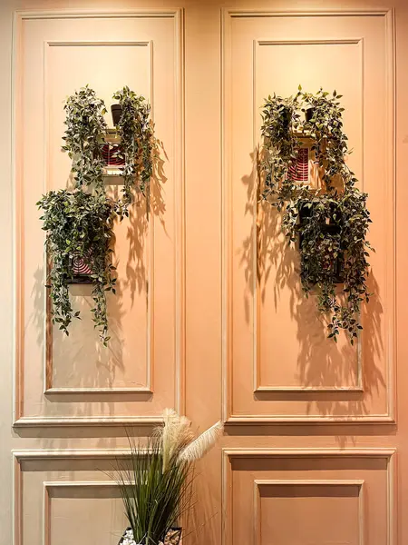 Zarif beyaz pervazlarla dekore edilmiş bej duvarlar ve saksılarda yemyeşil bitkiler. Minimalist ve klasik tasarım, rahat ve doğal atmosfer.