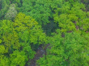 Yazın dağların manzarası