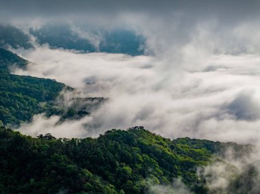 Yazın dağların manzarası