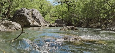 Ormandaki güzel nehir