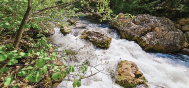 Yaz ormanındaki dağ nehri