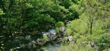 Dağ nehrinin yanındaki kayalıklarda bir şelale.