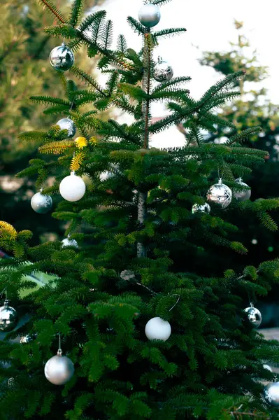 Noel süslemeleri köknar ağacı, Noel ve yeni yıl arkaplanı