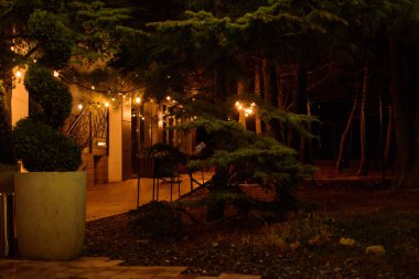 Yeni yılın gece manzarası.