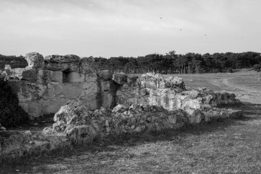 Roma, İtalya 'daki antik Roma harabeleri.
