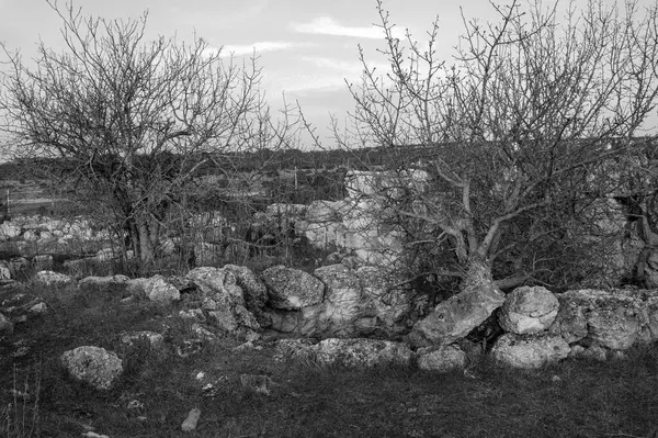 Eski şehirdeki eski harabeler