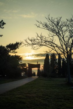Ağaçlar ve yapraklarla dolu güzel sonbahar manzarası