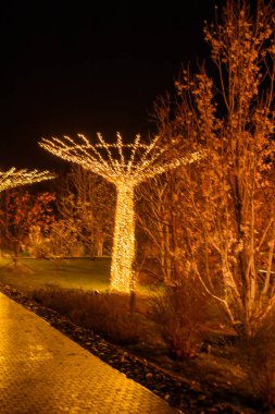 gece ışıkları ve noel ağacı
