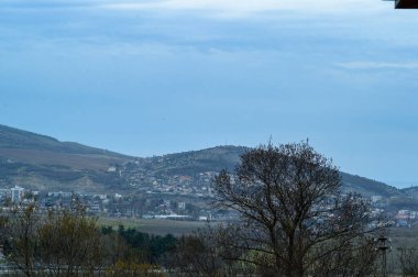 Ağacı ve dağı olan güzel bir manzara.