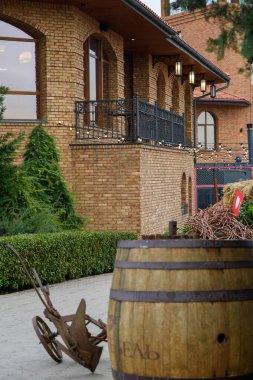 Üzüm bağında şarap şişeleri