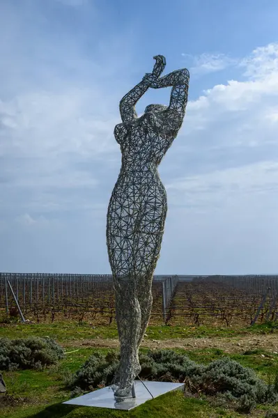 Doğanın güzel manzarası