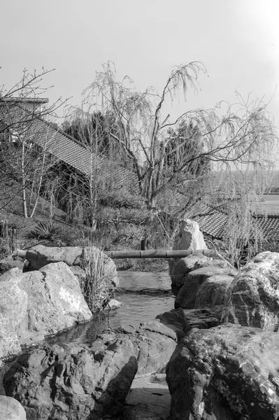 Parktaki nehrin güzel manzarası