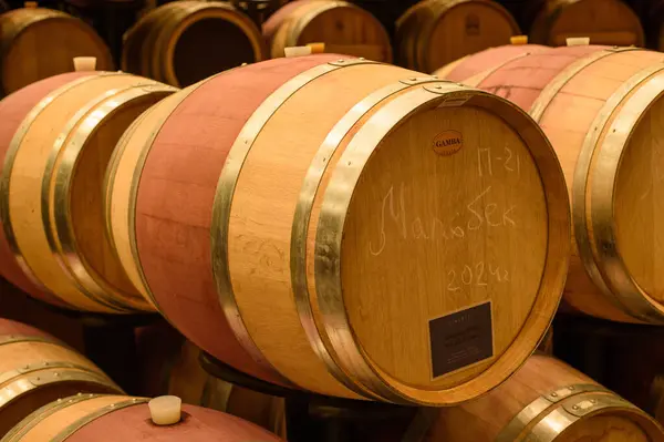 Şarap fıçıları mahzende