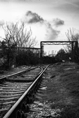 Ormandaki tren yolu.