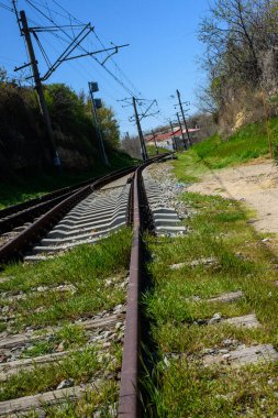 Ormanda demiryolu rayları