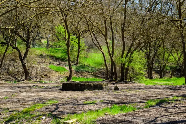 Şehrin eski taş duvarı.