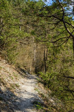 Dağlarda yürüyüş parkuru.