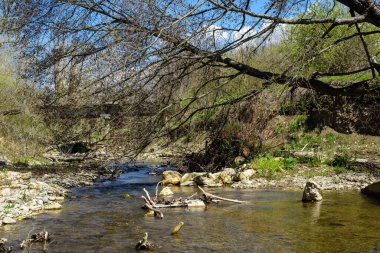 Doğanın güzel manzarası