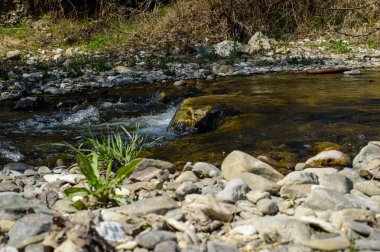 Kıyısında taşlar olan küçük bir nehir.