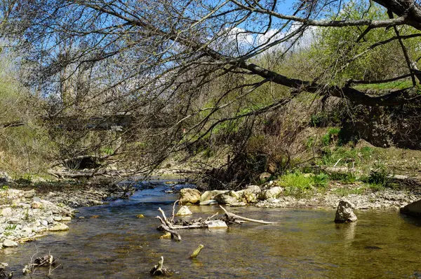 Doğanın güzel manzarası