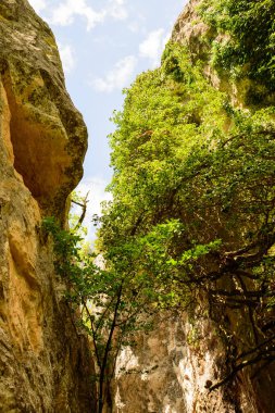 Güzel dağ manzarası. Doğa, seyahat