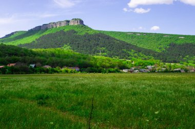 Dağın yeşil vadisi