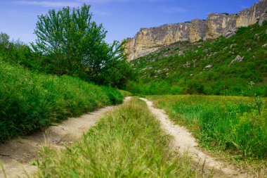 Doğanın güzel manzarası