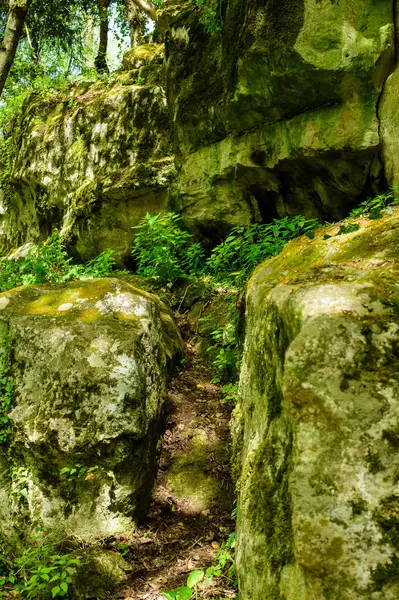 Doğanın güzel manzarası