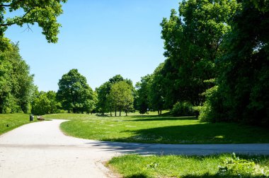 Güneşli yaz gününde güzel bir park