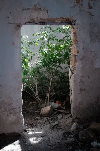 Şehirde terk edilmiş bir ev.