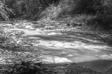 Ormanda güzel bir şelale