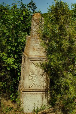 Ormanda eski ahşap haç