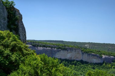 Ormandaki kayanın tepesine bak.