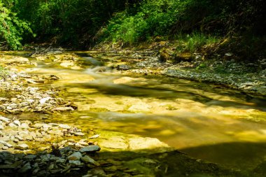 Taşlar ve yeşil otlarla dolu dağ deresi