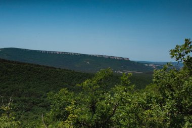 Güzel bir manzara Ağacı ve mavi gökyüzü