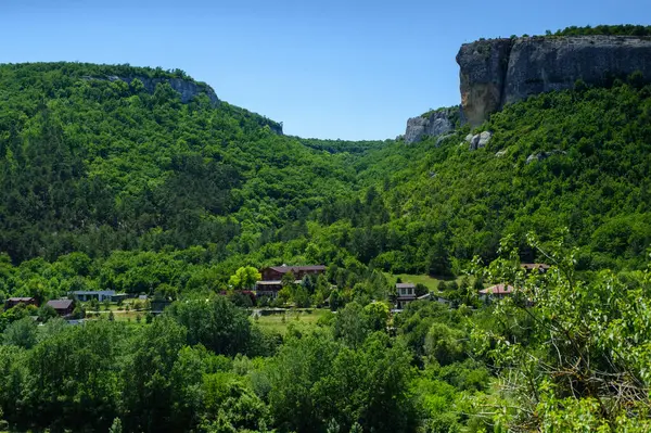 Yeşil bir ormanın güzel bir görüntüsü