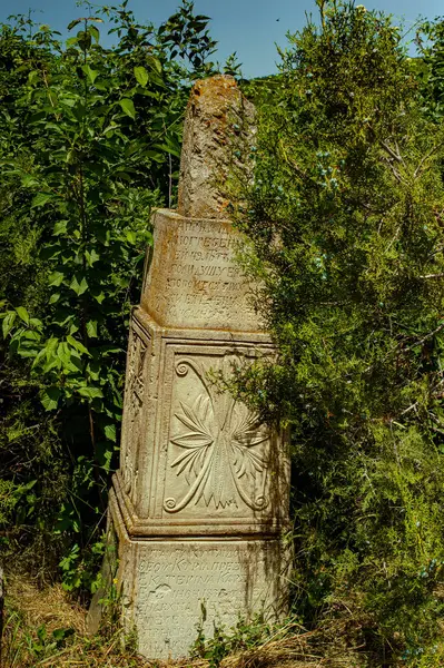 Ormanda eski ahşap haç