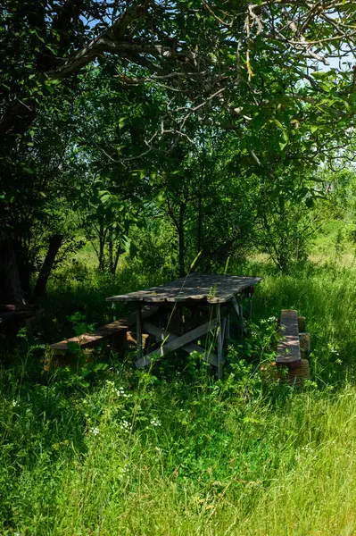 Ormandaki tahta masa.