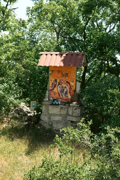 Ormandaki eski ahşap ev