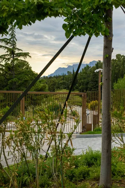 Kırsal kesimde güneşli bir yaz gününde evin güzel bahçesi.