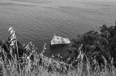 Plajdaki genç bir kadının siyah beyaz fotoğrafı.