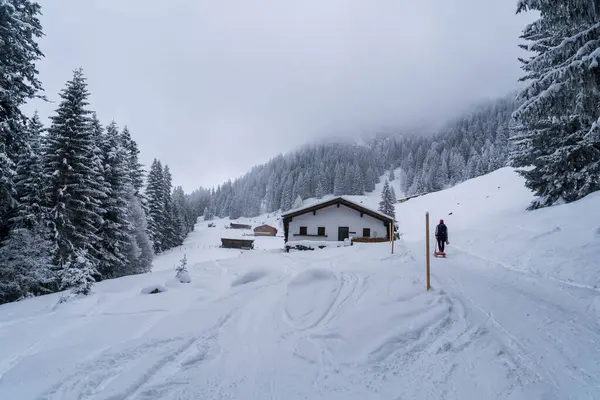 Alplerde kış yürüyüşü: Karla kaplı tepelerde ve doğanın her adımında güzelliğinin parladığı sakin manzaralarda nefes kesici bir yolculuk