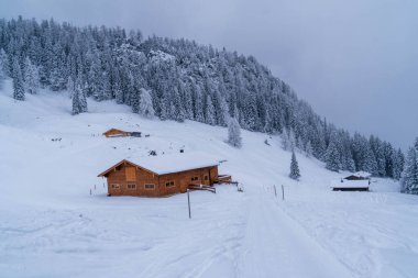 Alplerde kış yürüyüşü: Karla kaplı tepelerde ve doğanın her adımında güzelliğinin parladığı sakin manzaralarda nefes kesici bir yolculuk