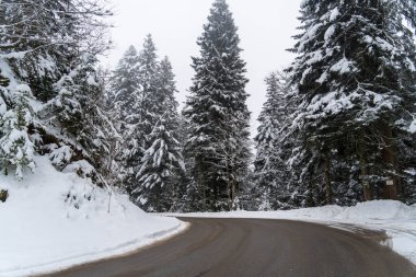 Alplerde kış yürüyüşü: Karla kaplı tepelerde ve doğanın her adımında güzelliğinin parladığı sakin manzaralarda nefes kesici bir yolculuk