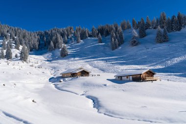 Alplerde kış yürüyüşü: Karla kaplı tepelerde ve doğanın her adımında güzelliğinin parladığı sakin manzaralarda nefes kesici bir yolculuk