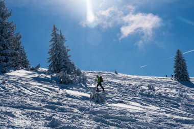 Alplerde kış yürüyüşü: Karla kaplı tepelerde ve doğanın her adımında güzelliğinin parladığı sakin manzaralarda nefes kesici bir yolculuk