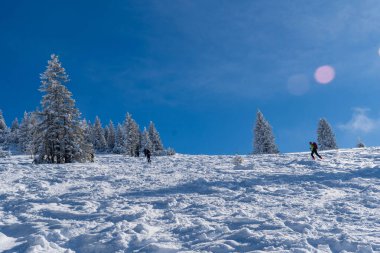 Alplerde kış yürüyüşü: Karla kaplı tepelerde ve doğanın her adımında güzelliğinin parladığı sakin manzaralarda nefes kesici bir yolculuk